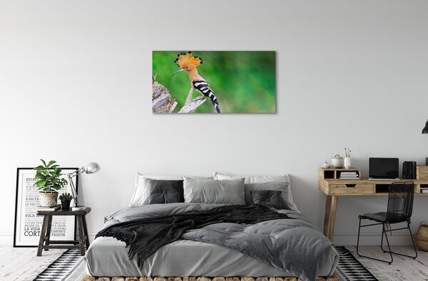 Tablouri canvas Copac papagal colorat