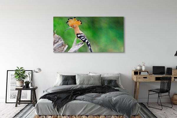 Tablouri canvas Copac papagal colorat