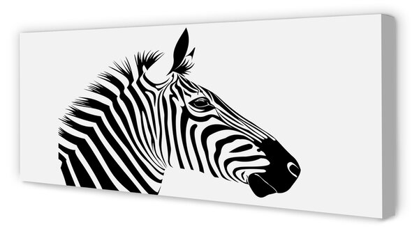 Tablouri canvas Ilustrarea zebră