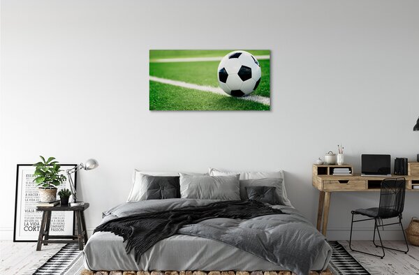 Tablouri canvas peluză de fotbal