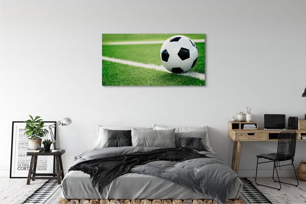 Tablouri canvas peluză de fotbal