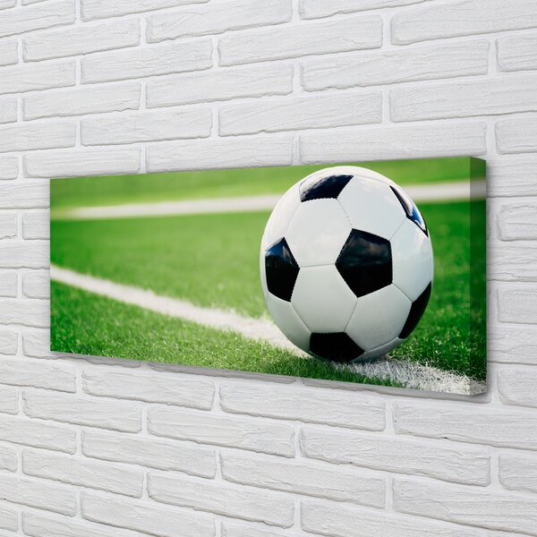 Tablouri canvas peluză de fotbal