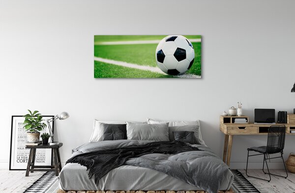 Tablouri canvas peluză de fotbal