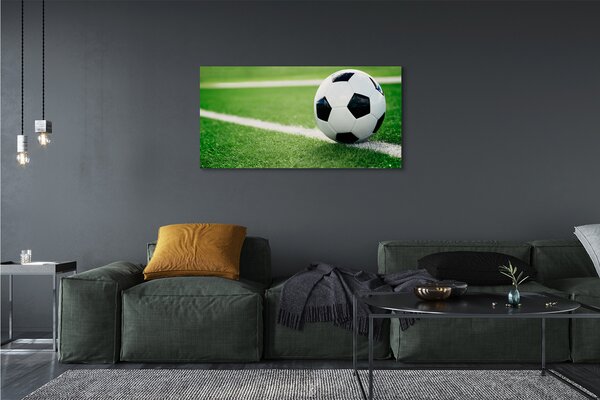 Tablouri canvas peluză de fotbal