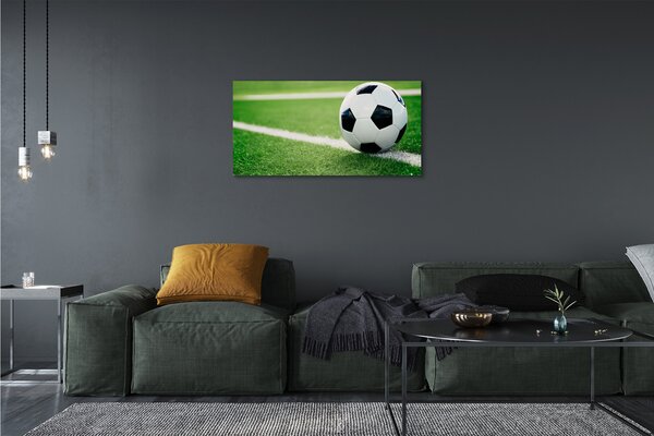 Tablouri canvas peluză de fotbal