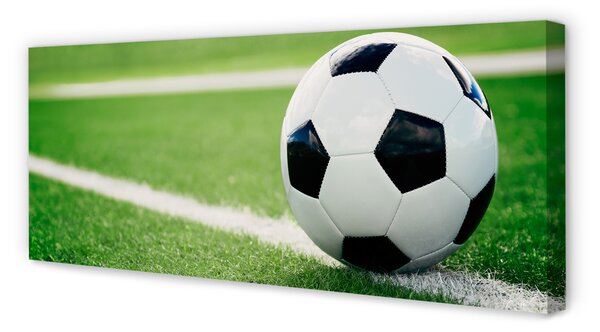 Tablouri canvas peluză de fotbal