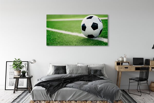 Tablouri canvas peluză de fotbal