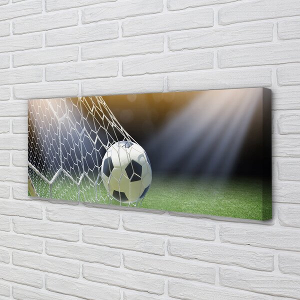 Tablouri canvas Stadion de fotbal