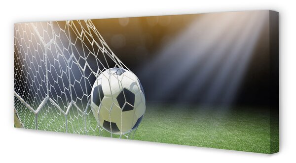 Tablouri canvas Stadion de fotbal