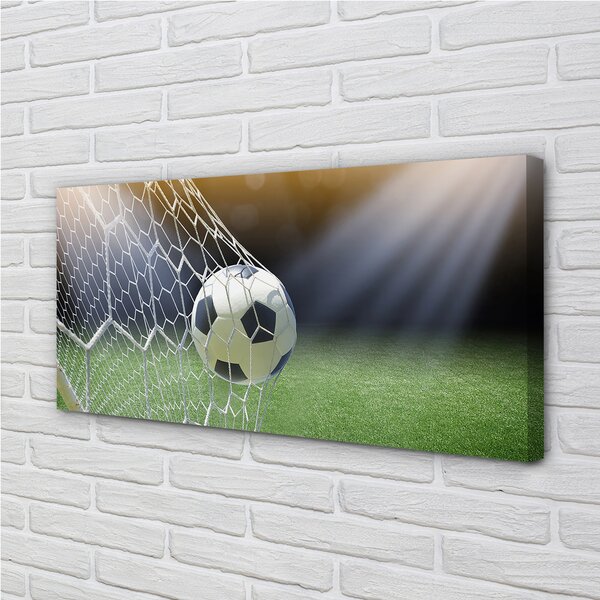 Tablouri canvas Stadion de fotbal