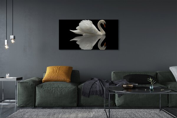 Tablouri canvas Swan în noapte