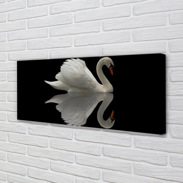 Tablouri canvas Swan în noapte
