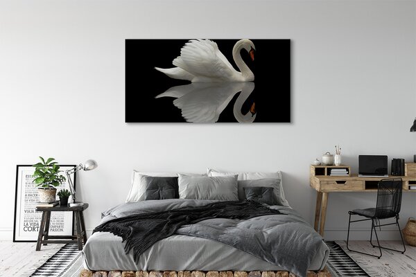Tablouri canvas Swan în noapte