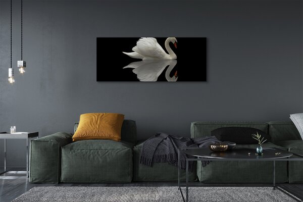 Tablouri canvas Swan în noapte