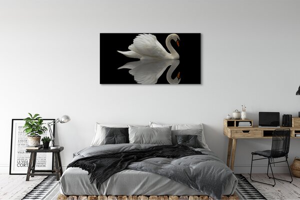 Tablouri canvas Swan în noapte