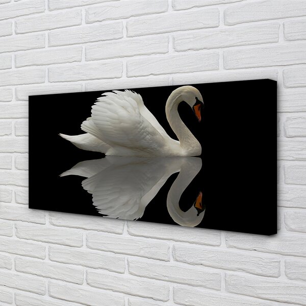 Tablouri canvas Swan în noapte