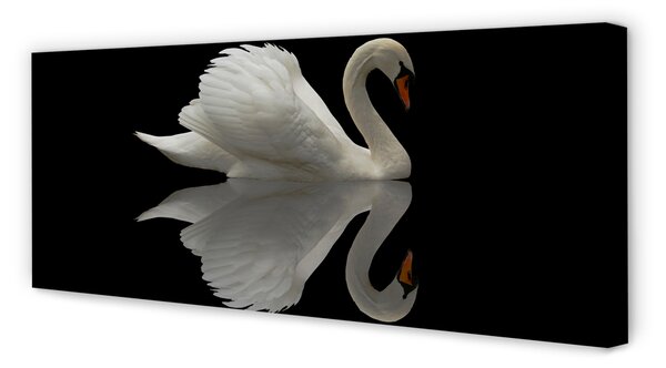 Tablouri canvas Swan în noapte