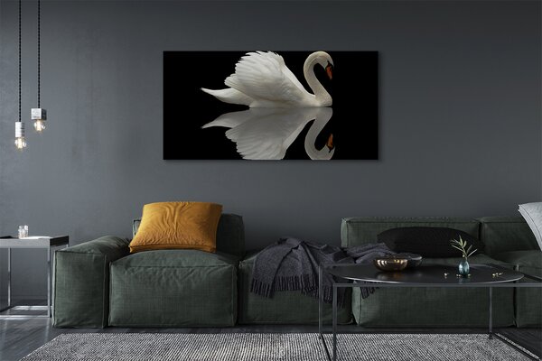 Tablouri canvas Swan în noapte