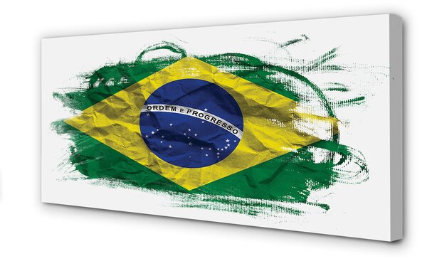 Tablouri canvas pavilion din Brazilia
