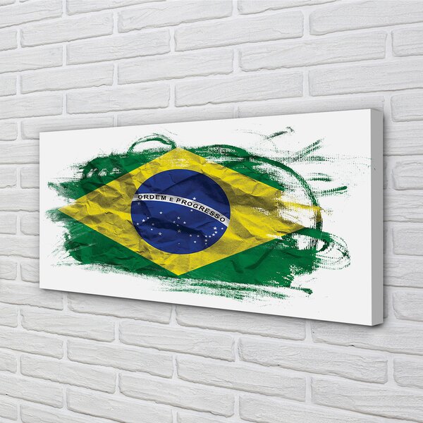 Tablouri canvas pavilion din Brazilia