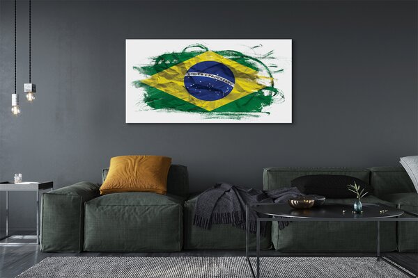 Tablouri canvas pavilion din Brazilia