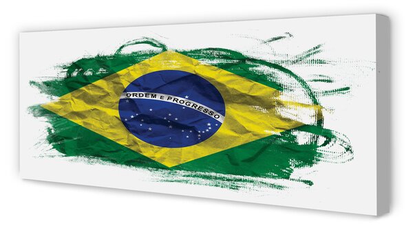 Tablouri canvas pavilion din Brazilia