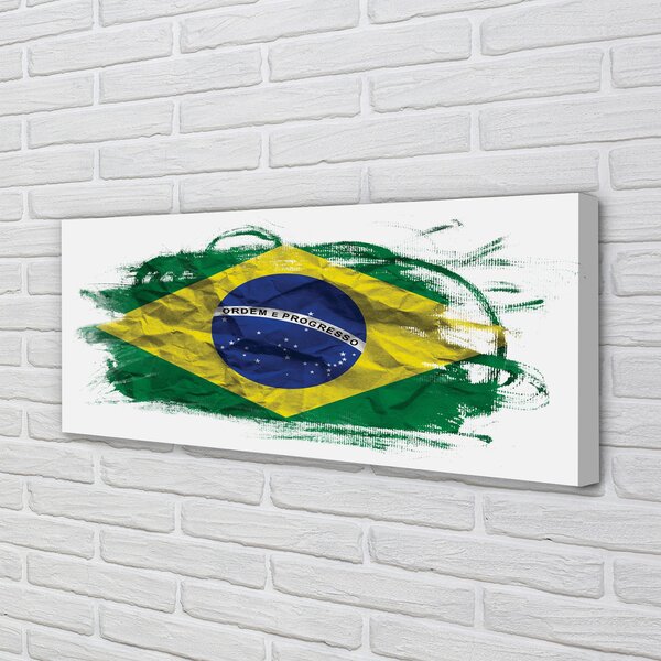 Tablouri canvas pavilion din Brazilia