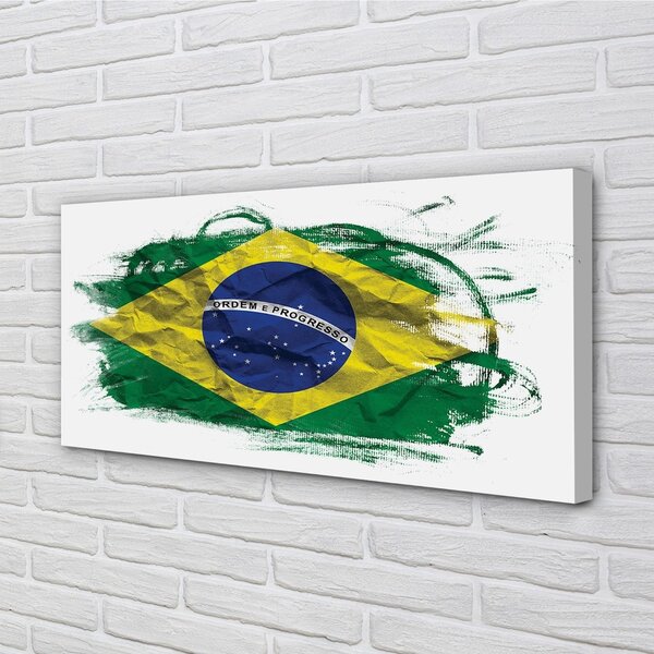 Tablouri canvas pavilion din Brazilia