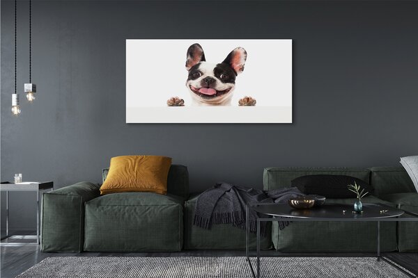 Tablouri canvas Câine
