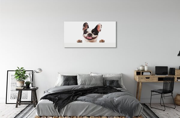 Tablouri canvas Câine