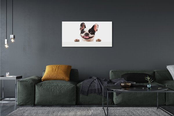 Tablouri canvas Câine