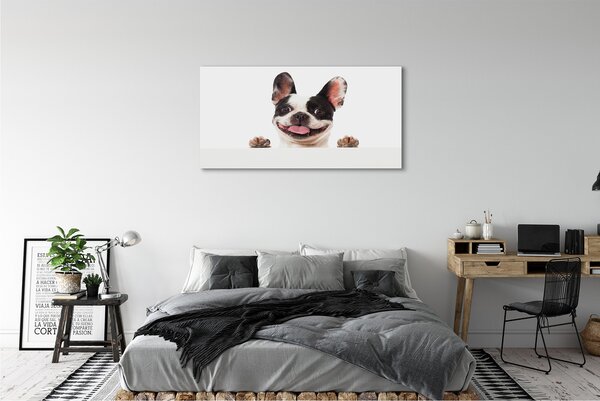 Tablouri canvas Câine