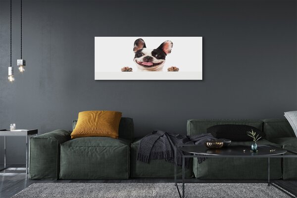 Tablouri canvas Câine