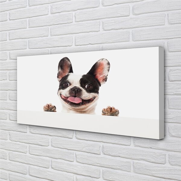 Tablouri canvas Câine