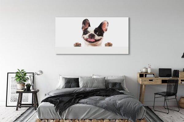 Tablouri canvas Câine
