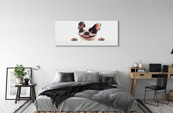 Tablouri canvas Câine