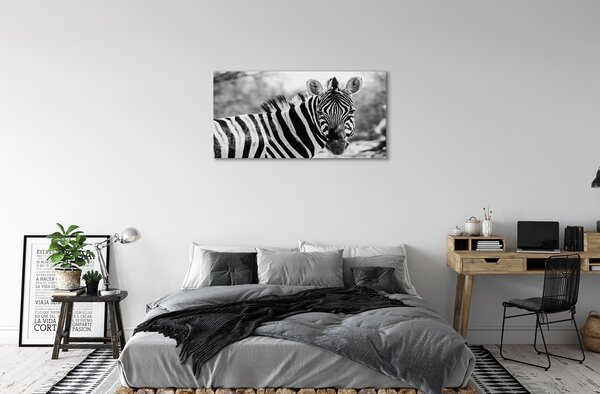 Tablouri canvas zebră retro