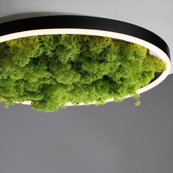 JUST LIGHT. GmbH Plafonieră LED Green Ritus, moss dimabil Ø39.3cm, reglabil, Verde, Camera de zi / sufragerie, Modern