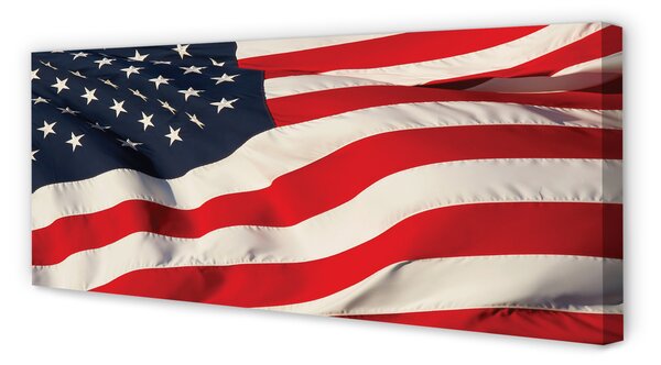 Tablouri canvas Statele Unite ale Americii flag