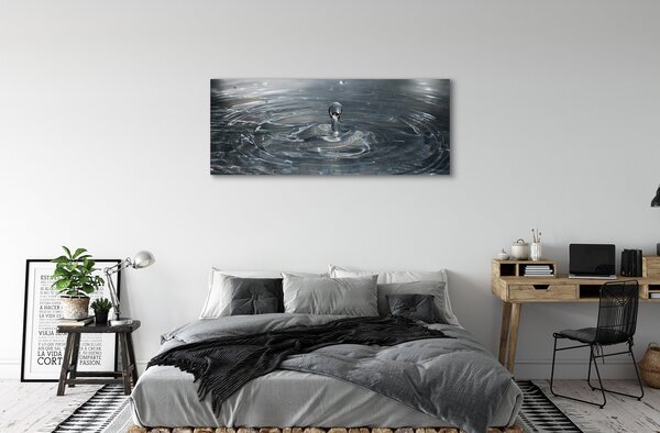 Tablouri canvas picătură de apă stropi