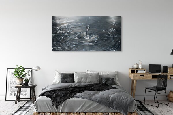 Tablouri canvas picătură de apă stropi