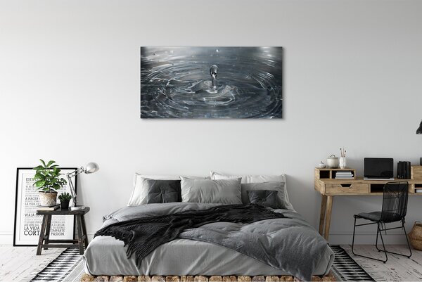 Tablouri canvas picătură de apă stropi