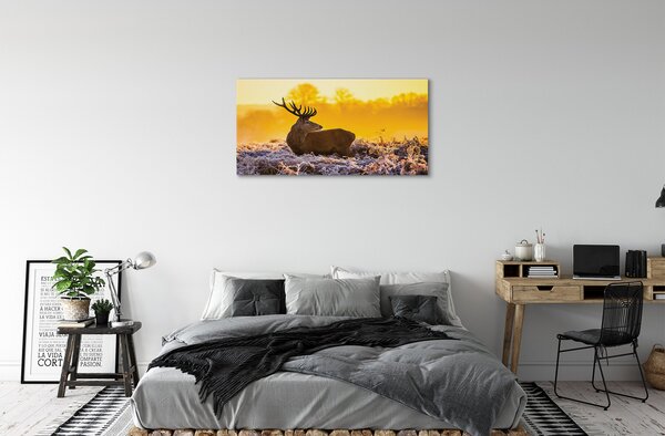 Tablouri canvas Deer răsărit de soare de iarnă