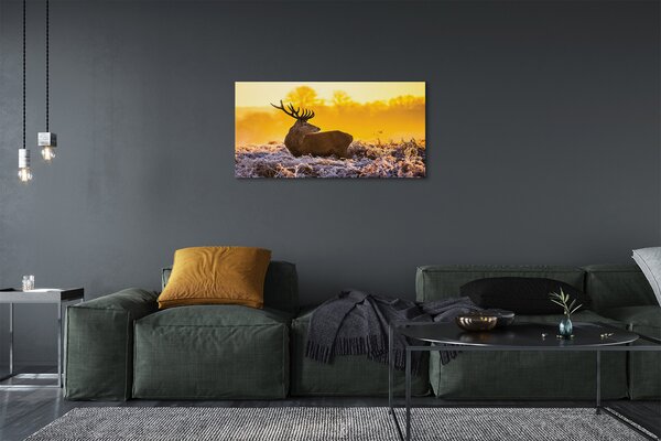 Tablouri canvas Deer răsărit de soare de iarnă