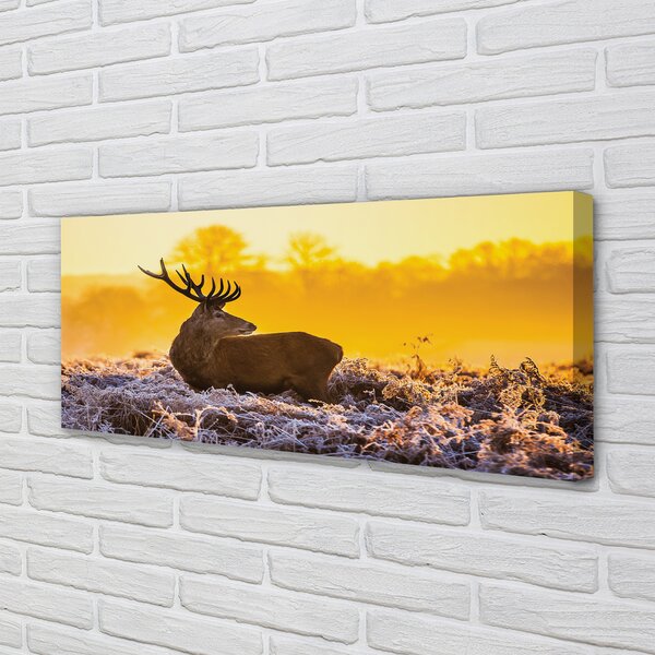 Tablouri canvas Deer răsărit de soare de iarnă