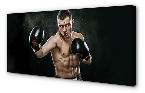 Tablouri canvas mănuși de om
