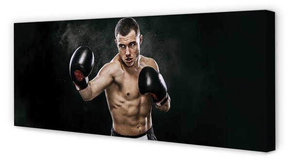 Tablouri canvas mănuși de om
