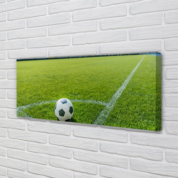 Tablouri canvas Stadionul de fotbal cu gazon