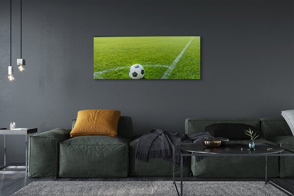 Tablouri canvas Stadionul de fotbal cu gazon