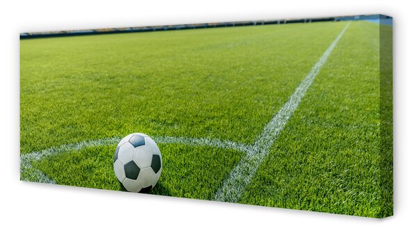 Tablouri canvas Stadionul de fotbal cu gazon